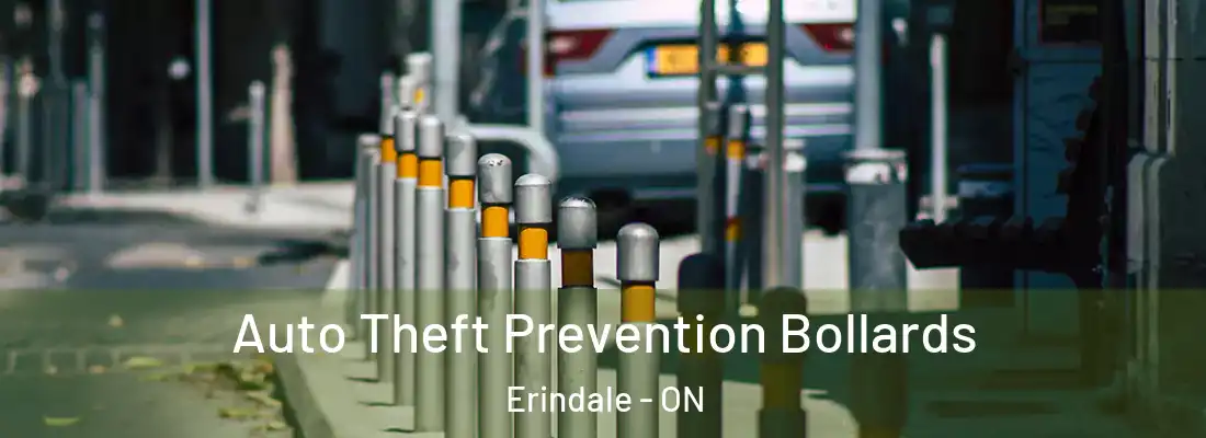  Auto Theft Prevention Bollards Erindale - ON