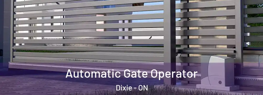  Automatic Gate Operator Dixie - ON