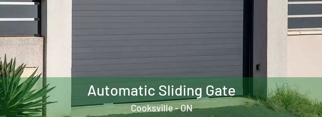  Automatic Sliding Gate Cooksville - ON