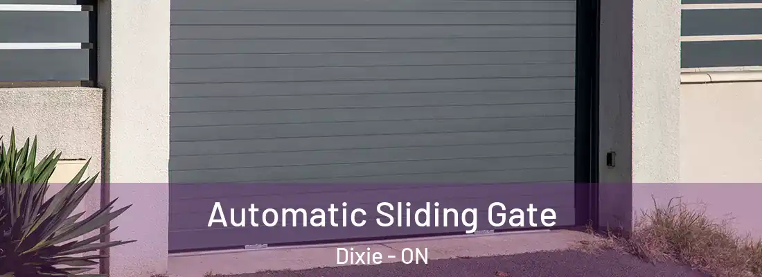  Automatic Sliding Gate Dixie - ON