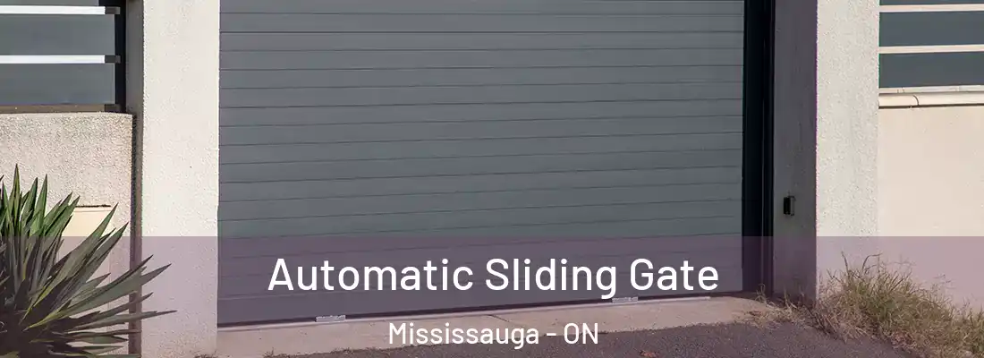  Automatic Sliding Gate Mississauga - ON