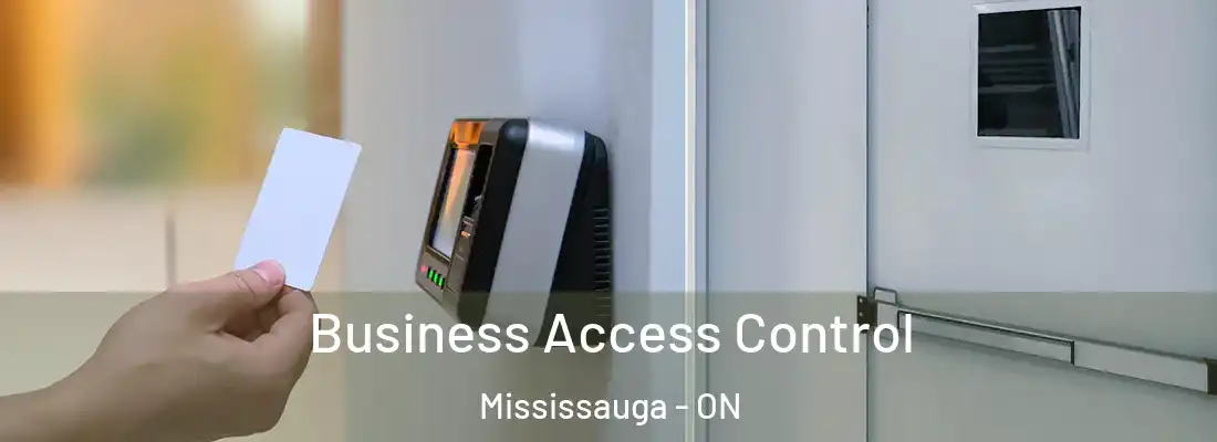  Business Access Control Mississauga - ON