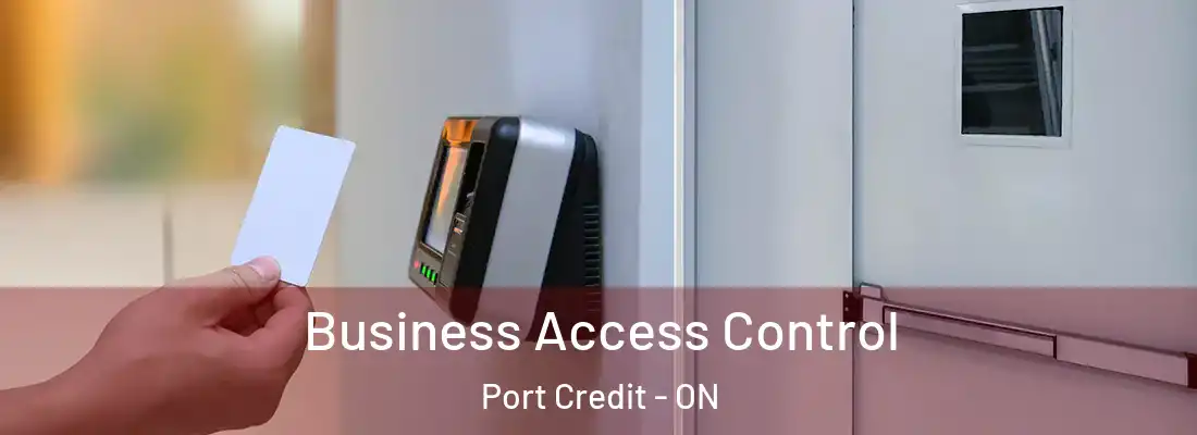  Business Access Control Port Credit - ON