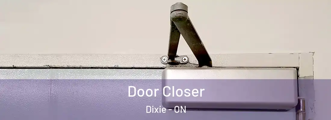  Door Closer Dixie - ON