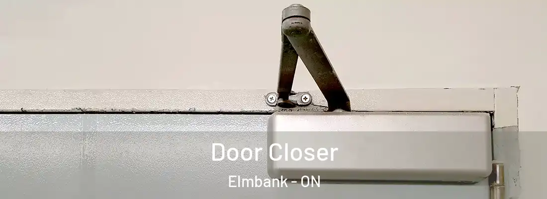  Door Closer Elmbank - ON