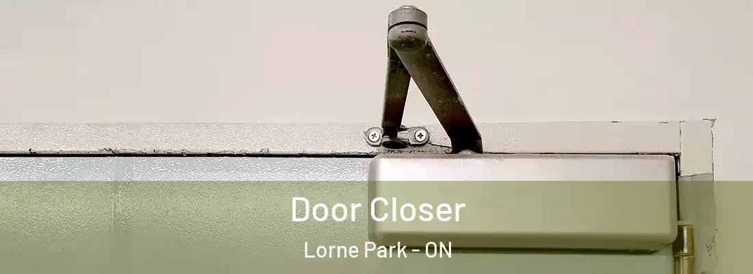  Door Closer Lorne Park - ON