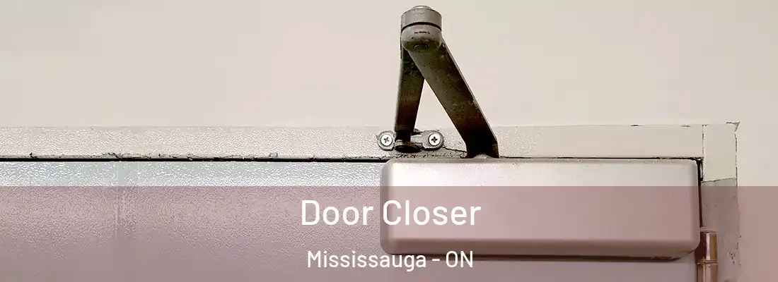  Door Closer Mississauga - ON