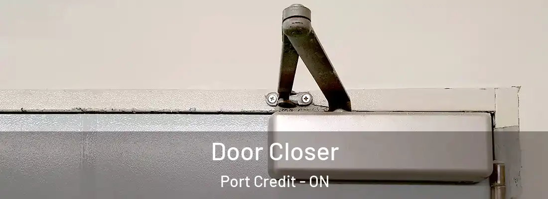  Door Closer Port Credit - ON
