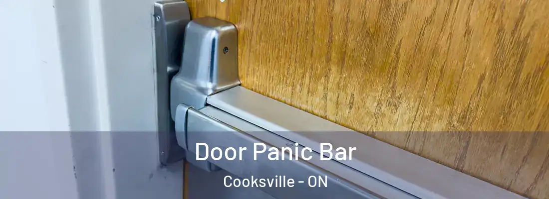  Door Panic Bar Cooksville - ON