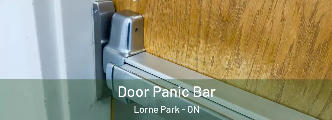  Door Panic Bar Lorne Park - ON