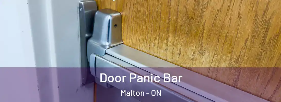  Door Panic Bar Malton - ON