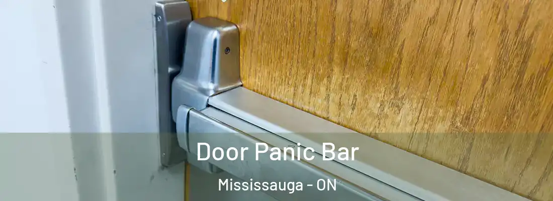  Door Panic Bar Mississauga - ON