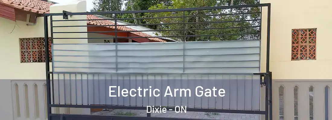  Electric Arm Gate Dixie - ON
