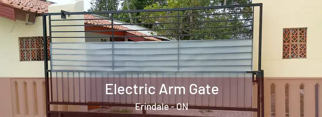  Electric Arm Gate Erindale - ON