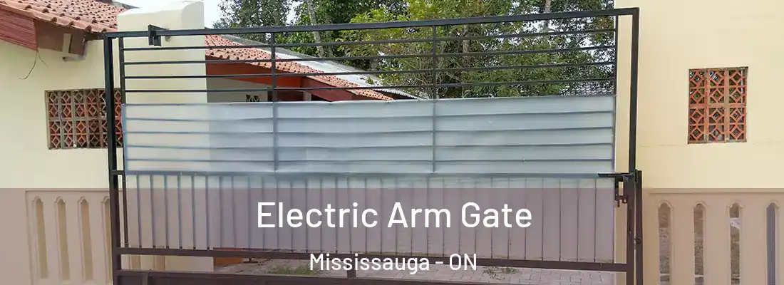  Electric Arm Gate Mississauga - ON