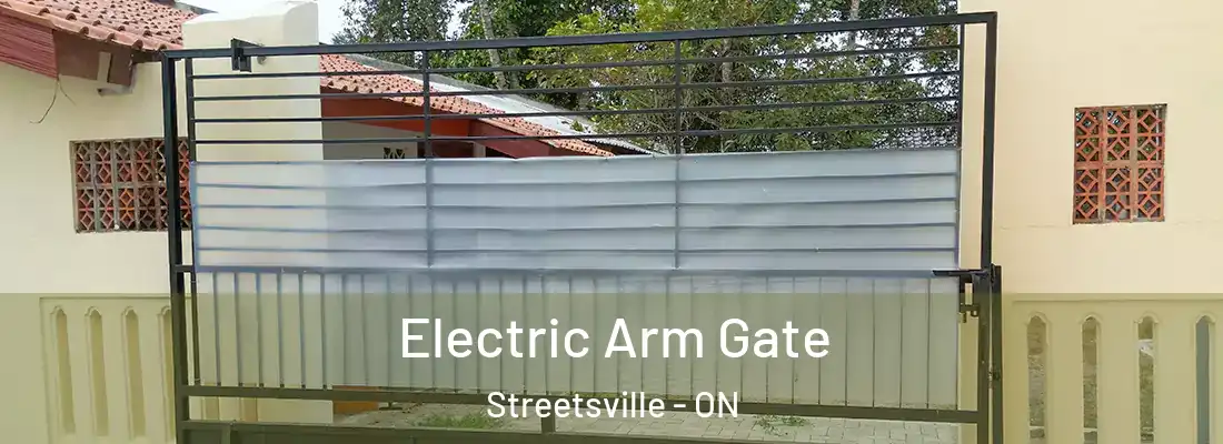  Electric Arm Gate Streetsville - ON