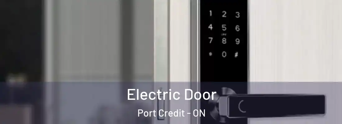  Electric Door Port Credit - ON