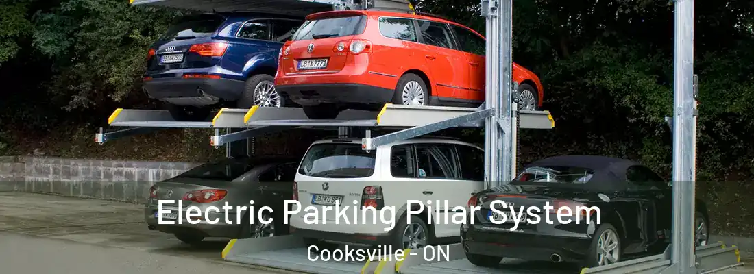  Electric Parking Pillar System Cooksville - ON