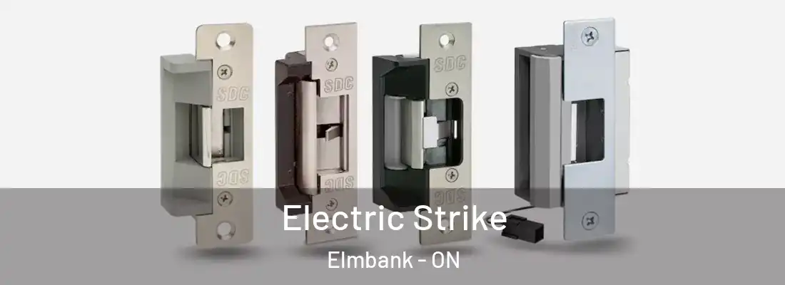  Electric Strike Elmbank - ON