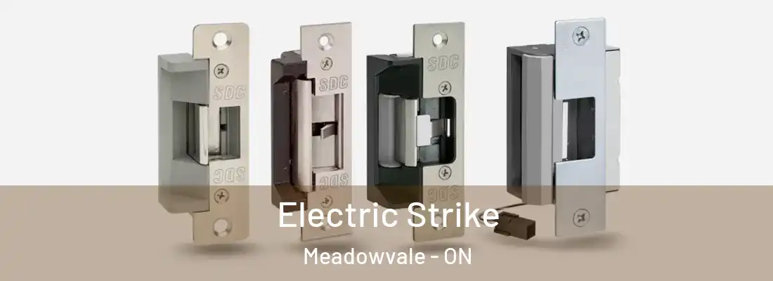  Electric Strike Meadowvale - ON