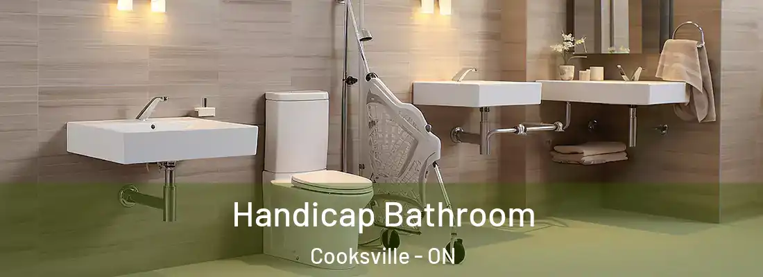  Handicap Bathroom Cooksville - ON