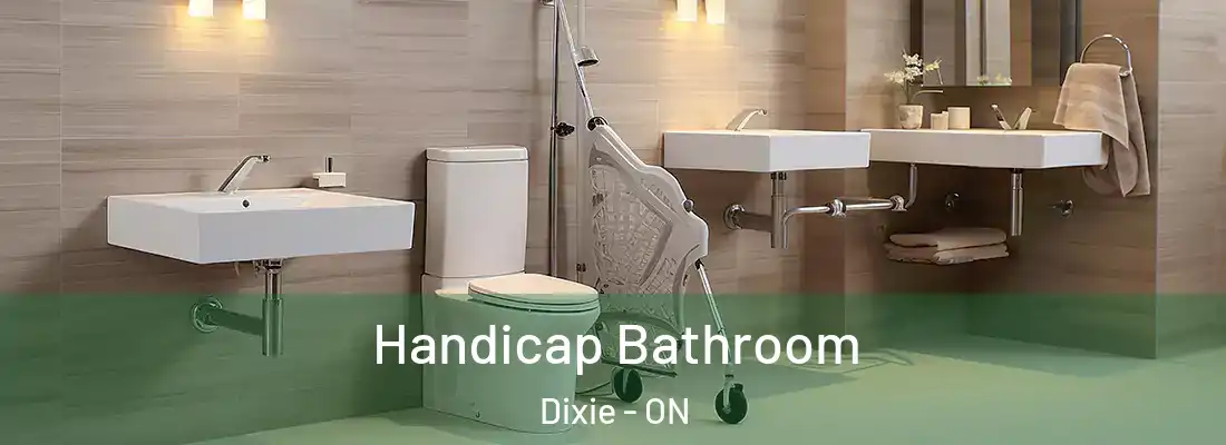  Handicap Bathroom Dixie - ON
