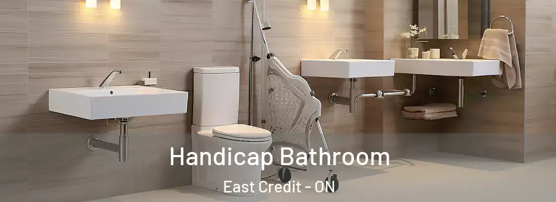  Handicap Bathroom East Credit - ON