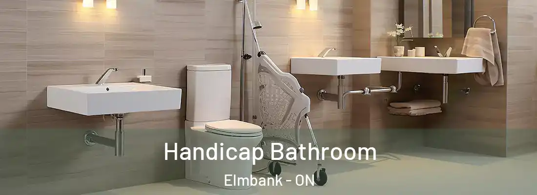 Handicap Bathroom Elmbank - ON