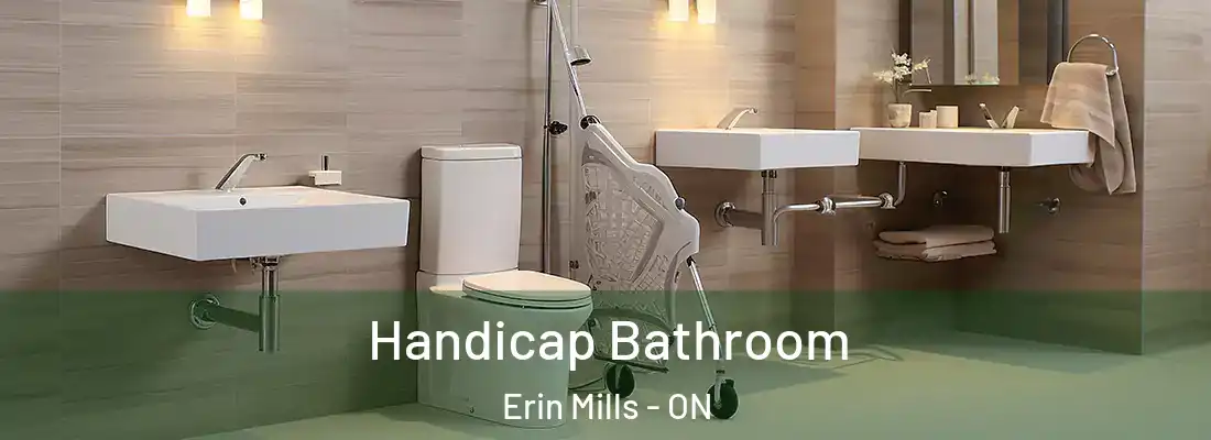  Handicap Bathroom Erin Mills - ON