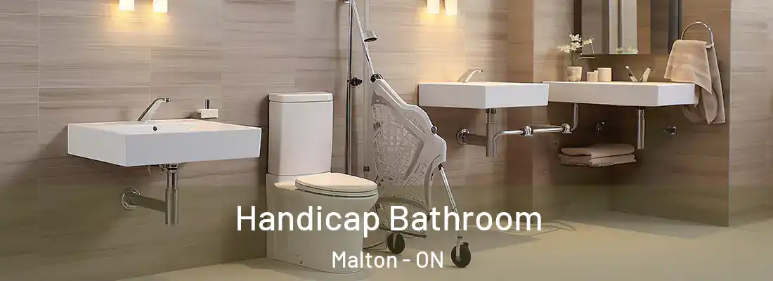  Handicap Bathroom Malton - ON