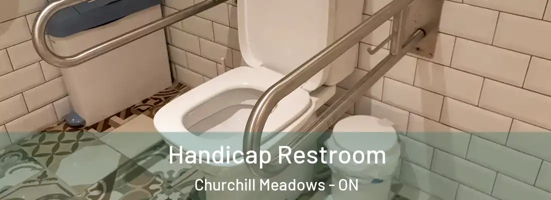  Handicap Restroom Churchill Meadows - ON