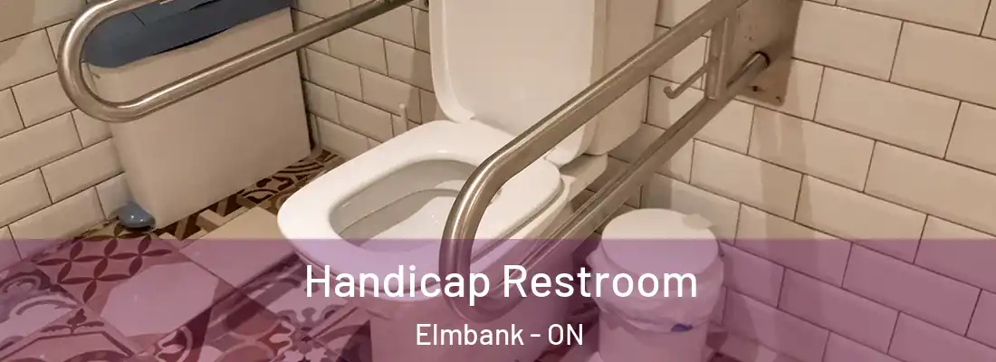  Handicap Restroom Elmbank - ON