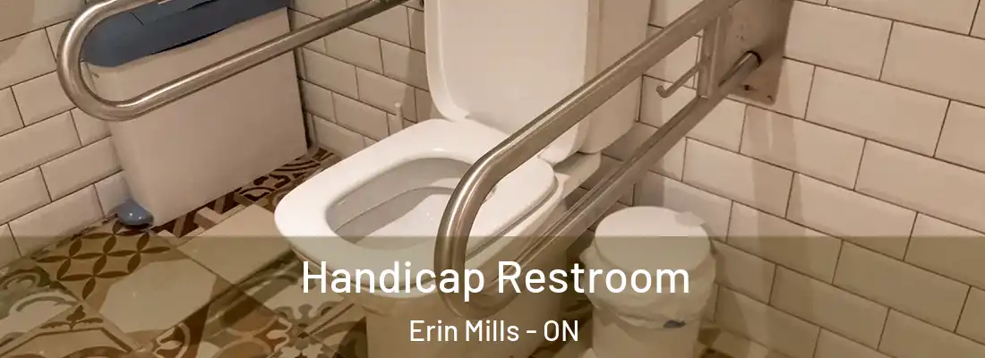  Handicap Restroom Erin Mills - ON