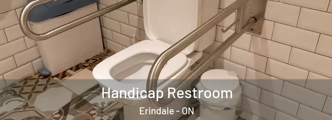  Handicap Restroom Erindale - ON