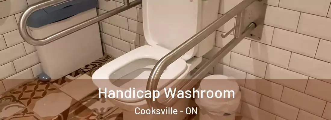  Handicap Washroom Cooksville - ON