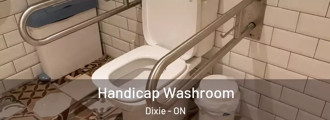  Handicap Washroom Dixie - ON