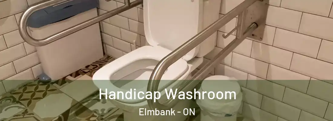  Handicap Washroom Elmbank - ON