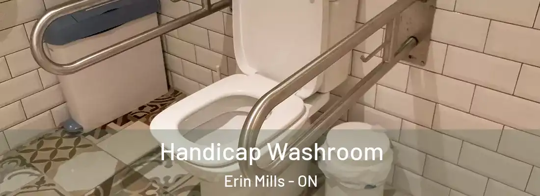  Handicap Washroom Erin Mills - ON