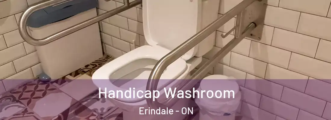  Handicap Washroom Erindale - ON