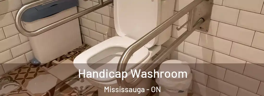  Handicap Washroom Mississauga - ON
