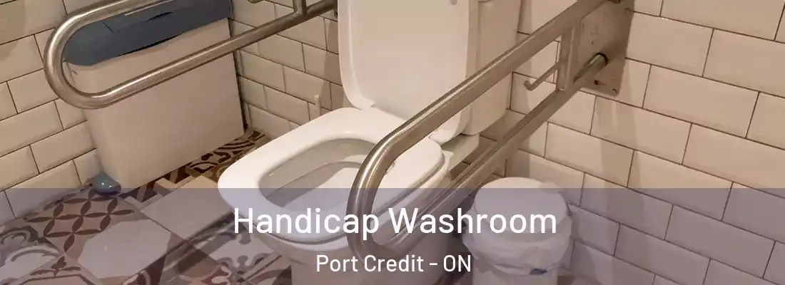  Handicap Washroom Port Credit - ON