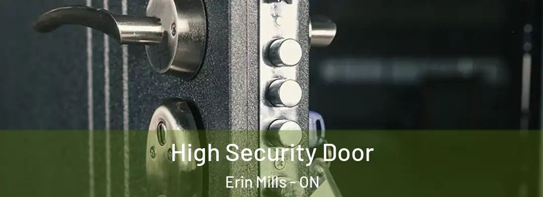  High Security Door Erin Mills - ON