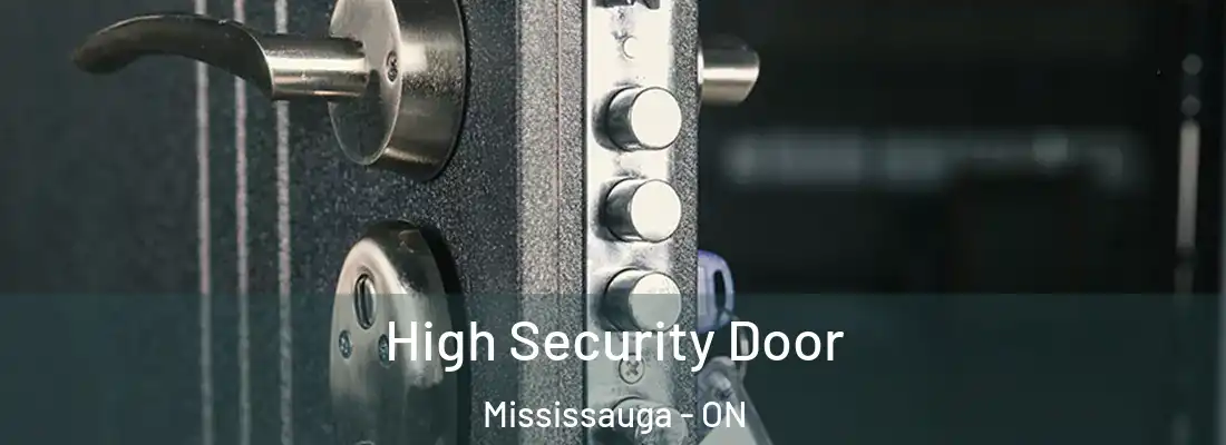  High Security Door Mississauga - ON