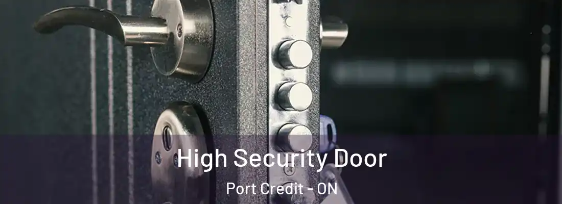  High Security Door Port Credit - ON
