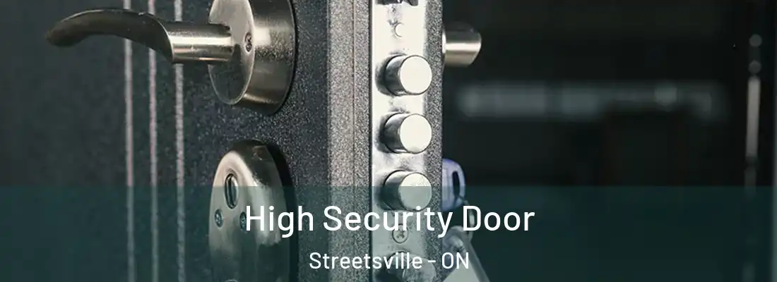  High Security Door Streetsville - ON