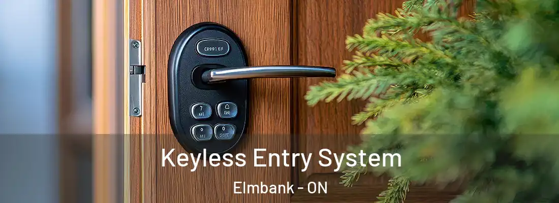  Keyless Entry System Elmbank - ON