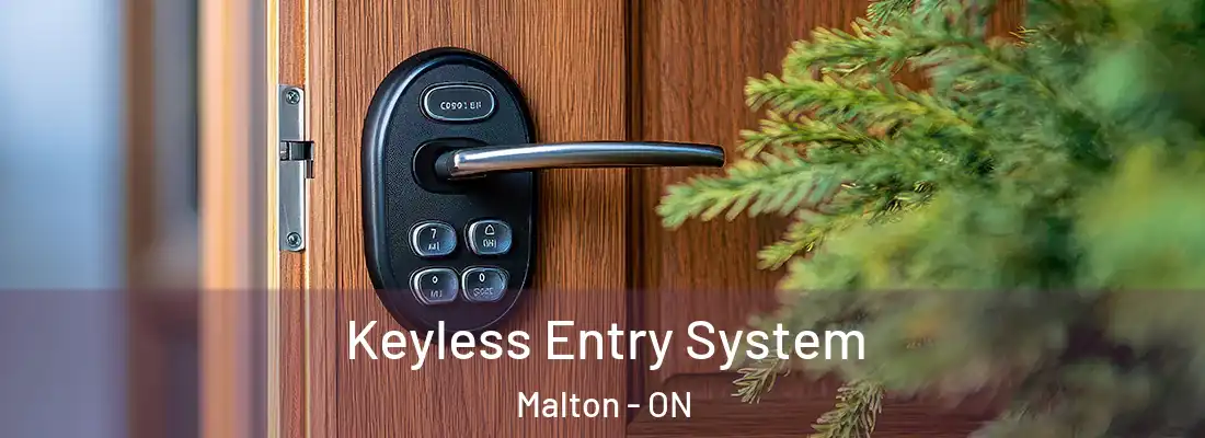  Keyless Entry System Malton - ON
