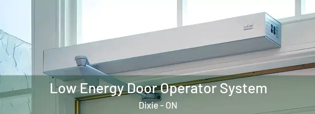  Low Energy Door Operator System Dixie - ON