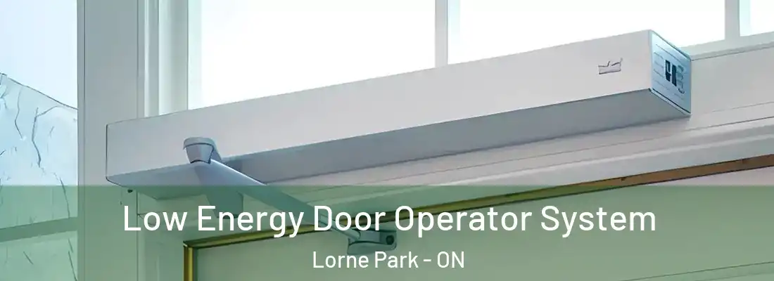  Low Energy Door Operator System Lorne Park - ON