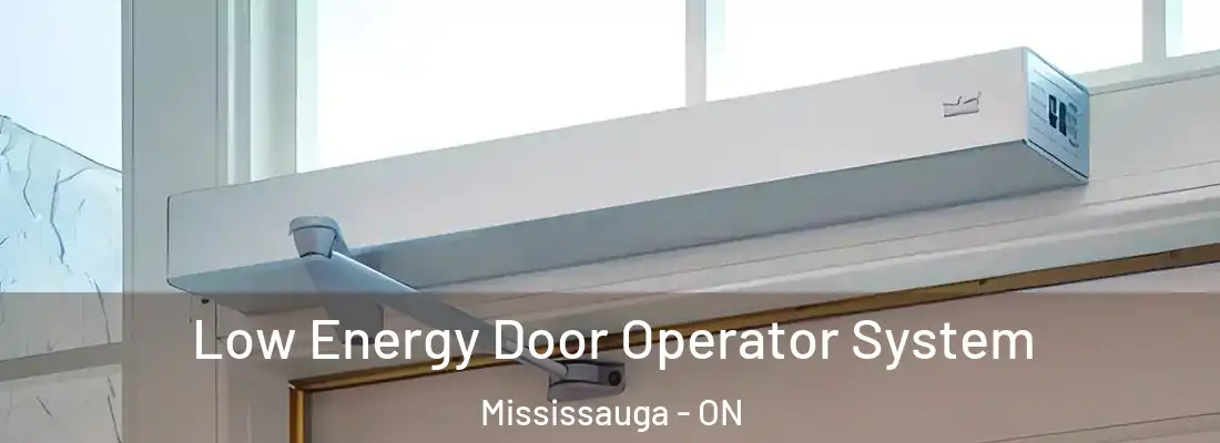  Low Energy Door Operator System Mississauga - ON